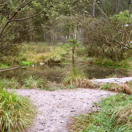 Benb Lerandonneur 3* Hockai