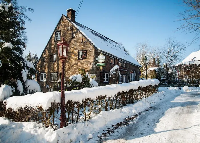 Benb Lerandonneur Hockai