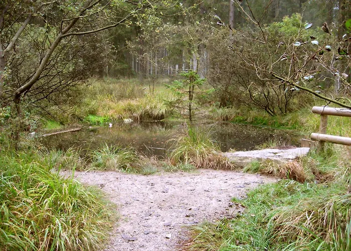 Benb Lerandonneur 3* Hockai